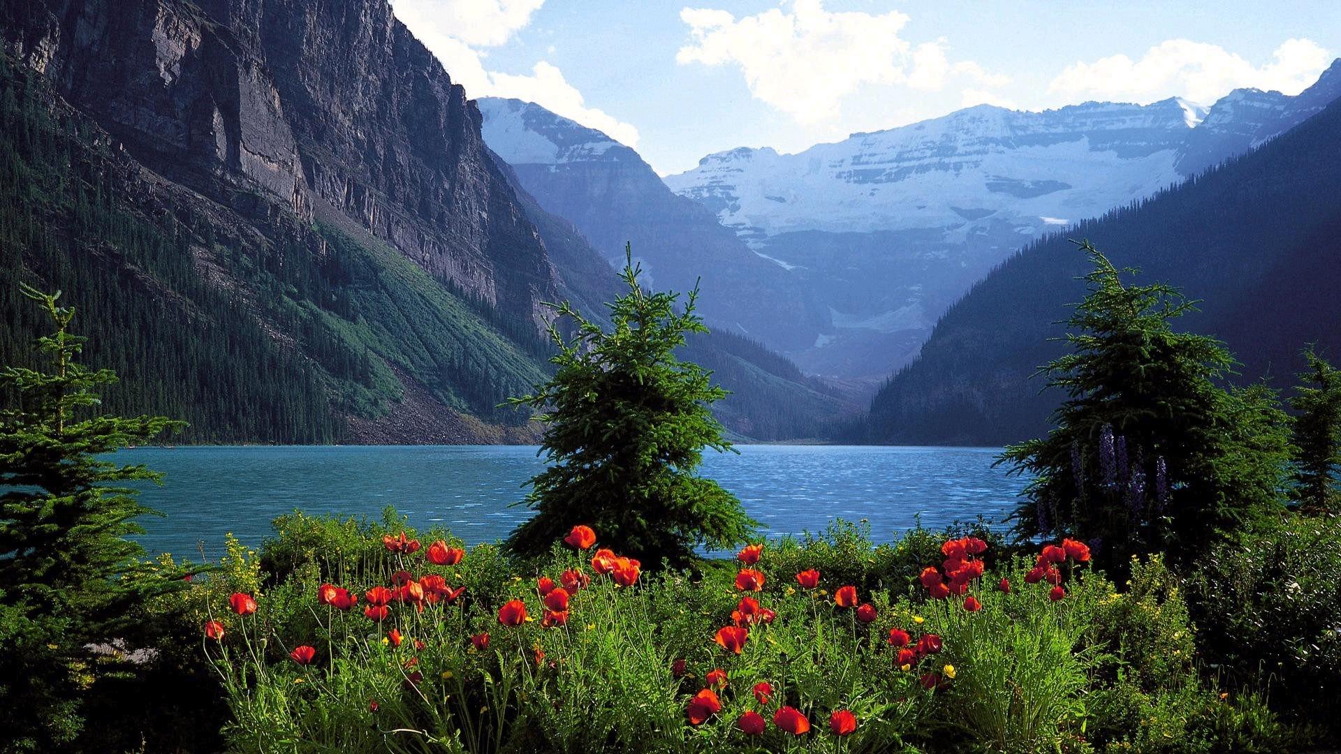 【暑期督学】梦马班二轮规划(0719-0826)-梦马考研