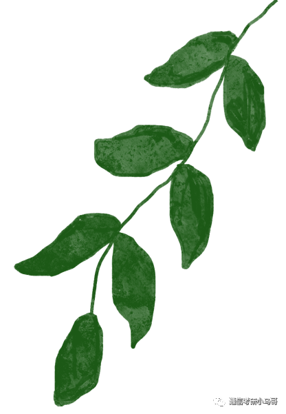 图片[32]-暑假黄金期即将来临，二战的同学租房？留校？回家？去哪里学习-梦马考研