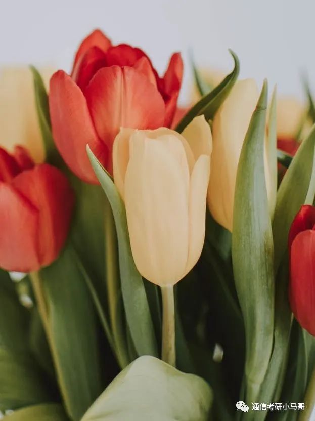 图片[6]-给二战同学提供一些备考建议！-梦马考研