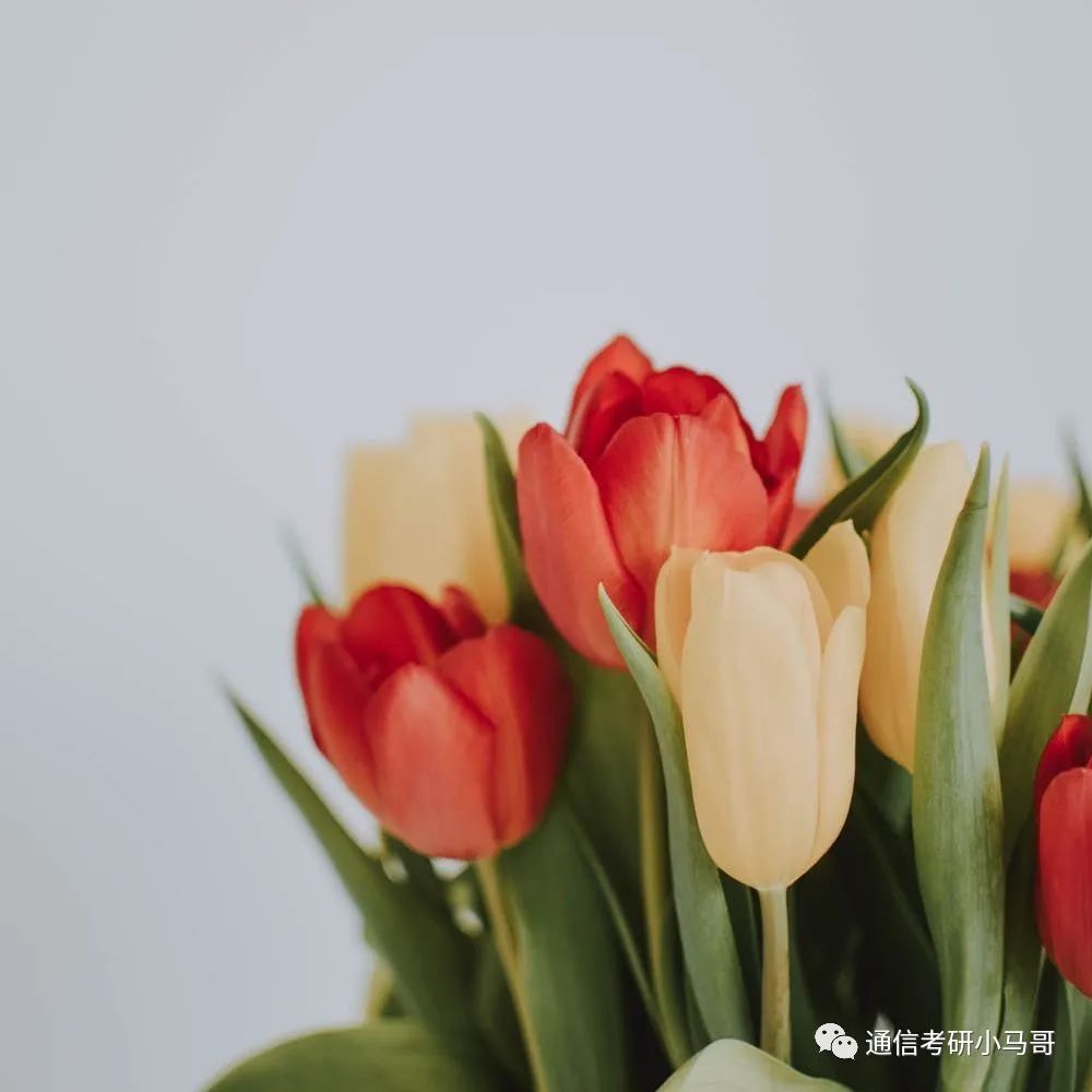 图片[2]-给二战同学提供一些备考建议！-梦马考研