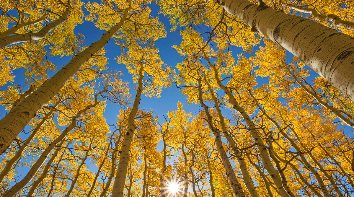 民办双非、二战上岸成信大-梦马考研