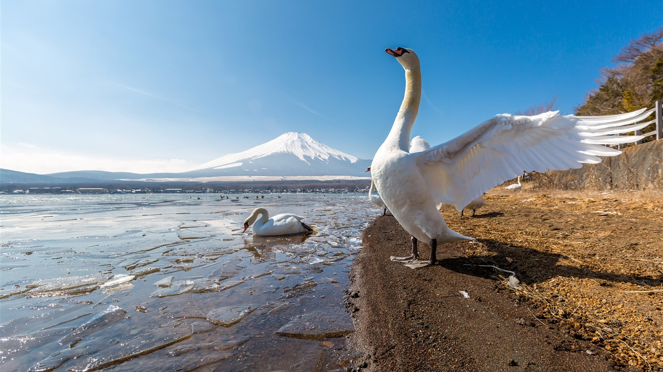 专硕暴跌60分!明年要卷起来了!-梦马考研