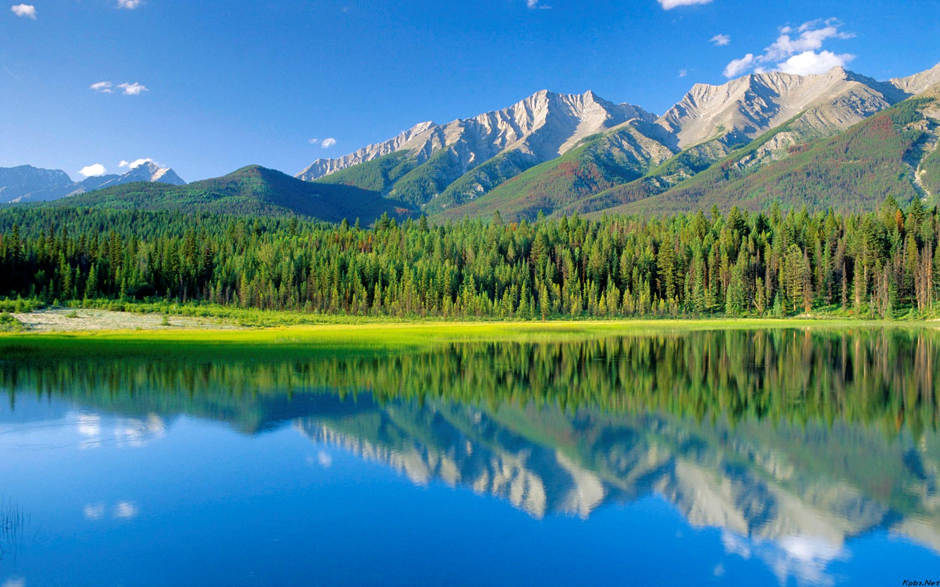 太卷了！两个390+被刷！这所北京211专业课均139分！-梦马考研