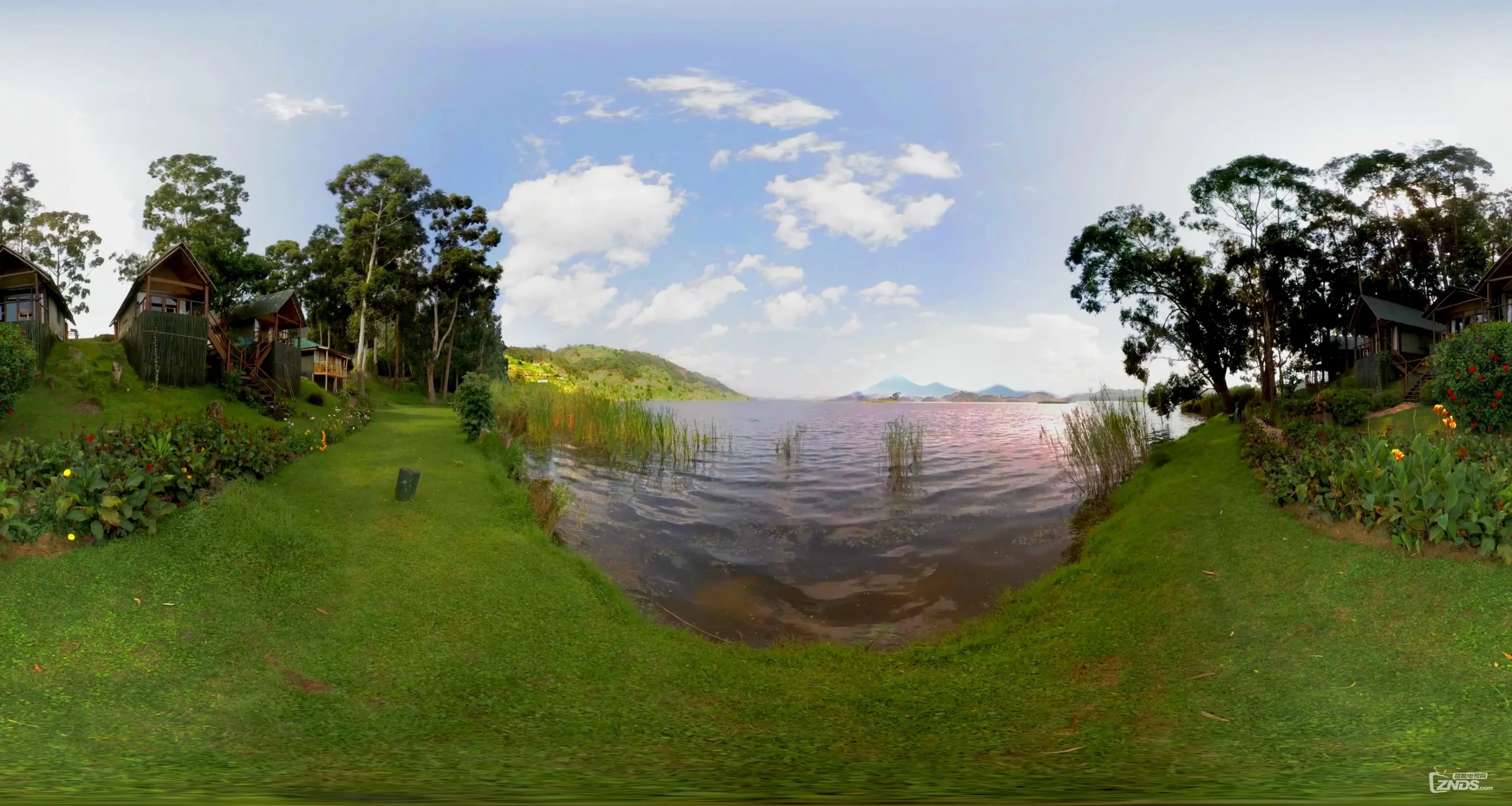 改考！快跑！新加一门DSP！-梦马考研