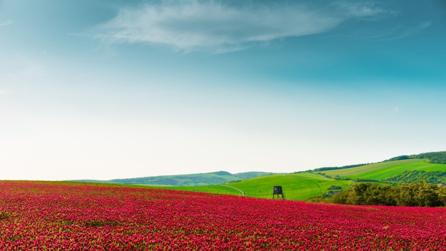 离谱!最难双非专业课!比985还难!-梦马考研