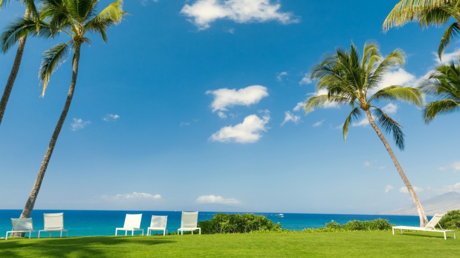 一战信号与系统134分，上岸成信大经验。-梦马考研