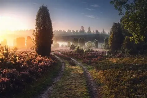 别考！380被刷！巨热211！-梦马考研