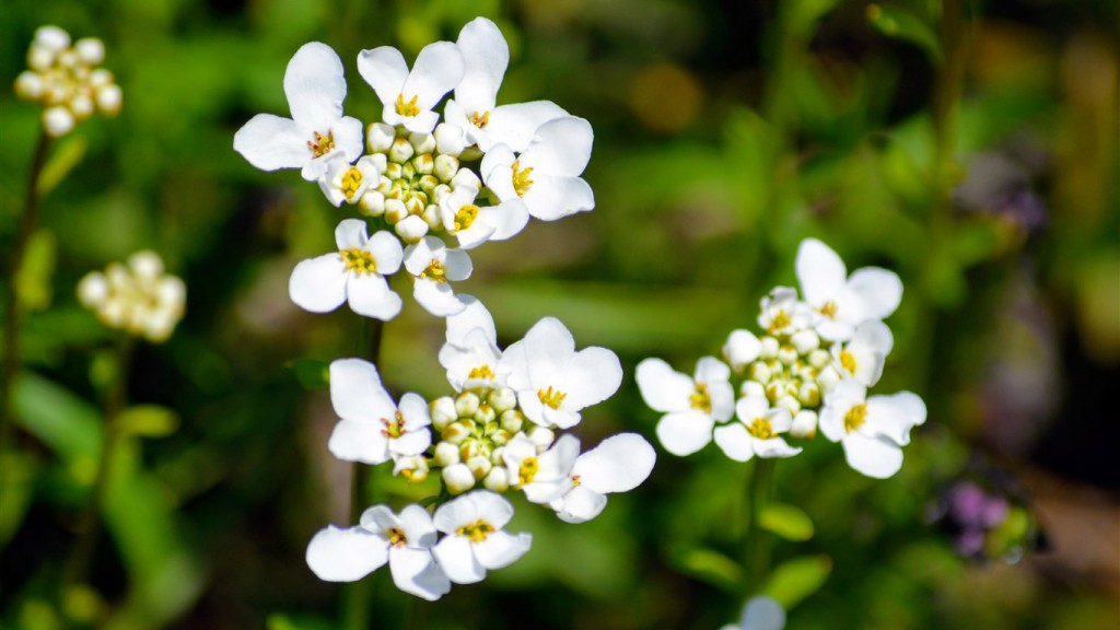 信号129上岸天津科技大学经验。-梦马考研