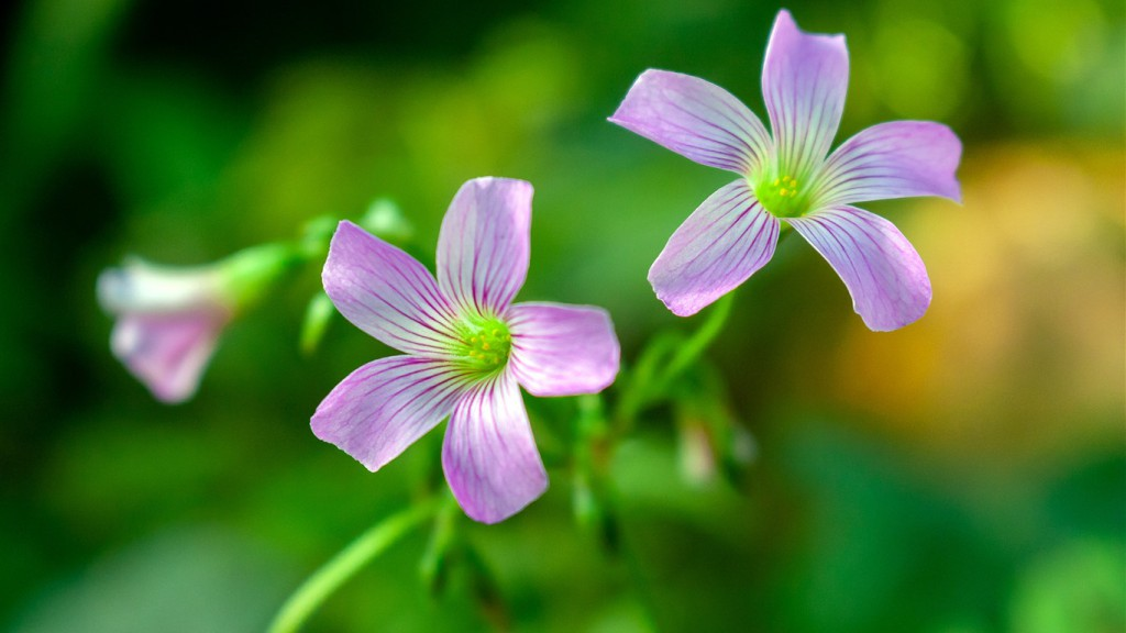 总分390上岸国防科大经验。-梦马考研