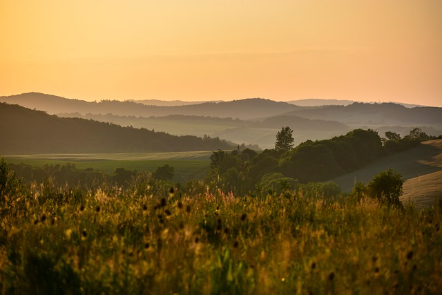 C9，极难！专业课难度第一梯队！-梦马考研