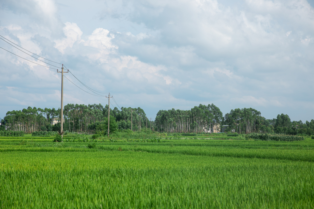 双非商科跨考！信号123，上岸武科大经验。-梦马考研