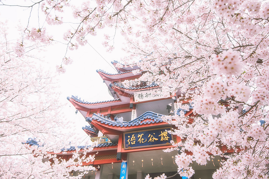 当心！学硕年年招不满，谨防捡漏扎堆！-梦马考研