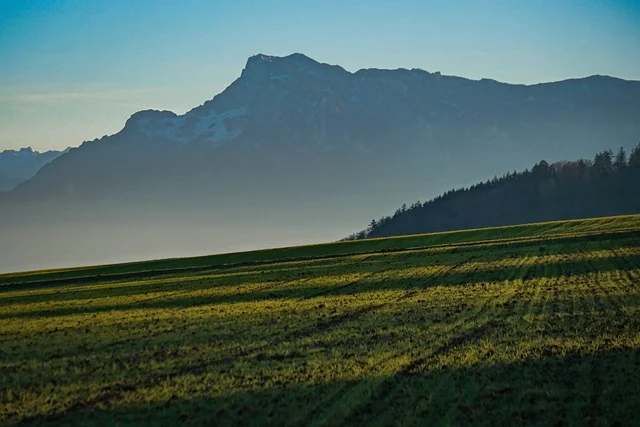 【25真题】卷炸！四邮之一，招生600+！-梦马考研