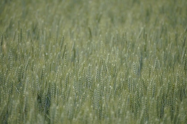 25燕山大学通信考情数据分析-梦马考研