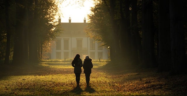 【25真题】很难很难！难度飙升！-梦马考研