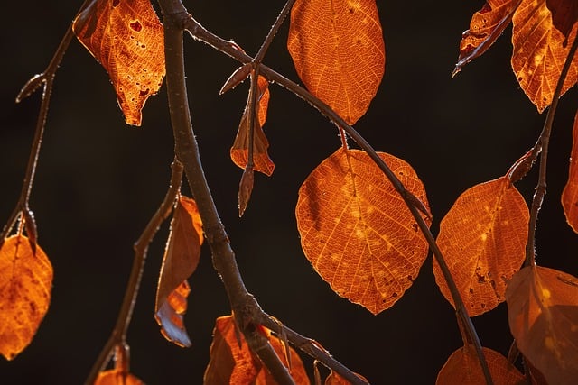 【25真题】这套需要拿满分！-梦马考研