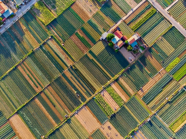 【25真题】信号中的408！难考！-梦马考研