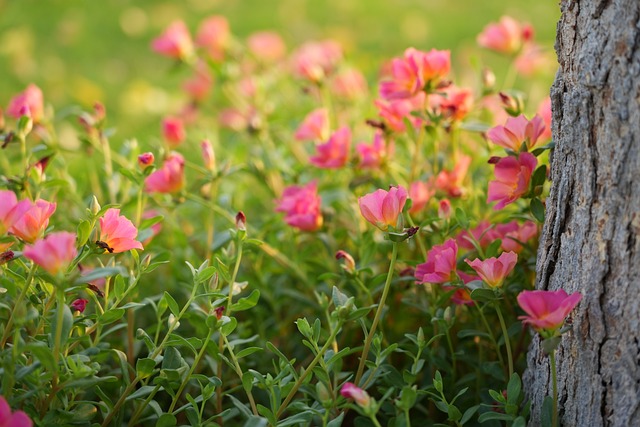 【25真题】最公平院校！“双盲”建议全国推广！-梦马考研