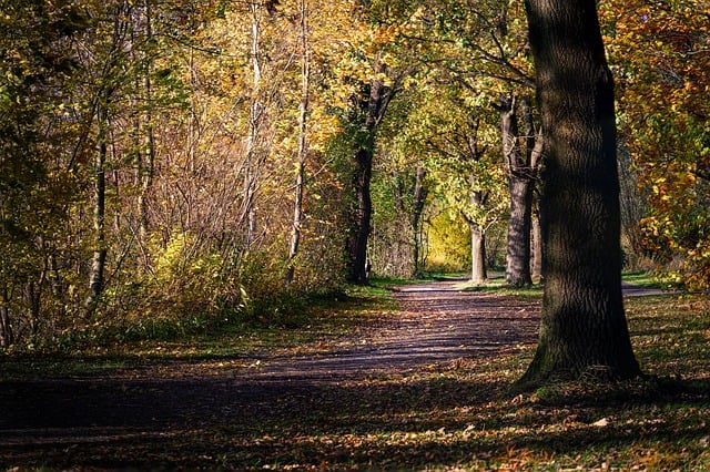 信号144总分410+上岸经验!-梦马考研