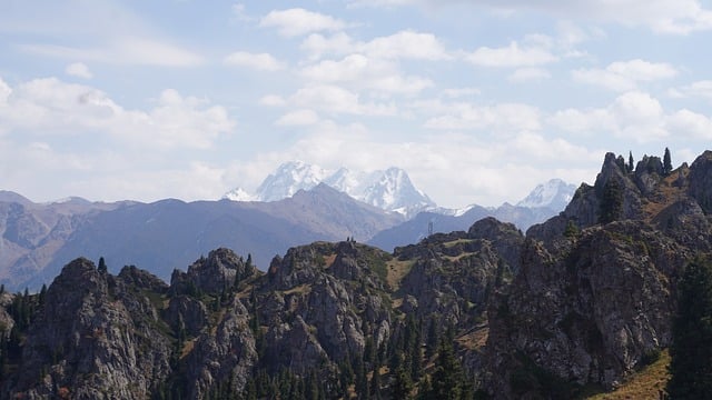 【25真题】最卷211！两电之一！-梦马考研