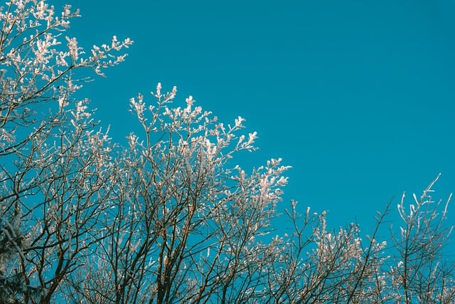 【25真题】很难，很综合！-梦马考研