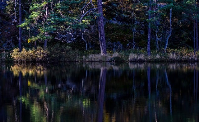 【25真题】好难！超热985，13个专业招生！竞争激烈！-梦马考研