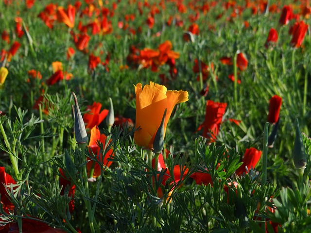 【25真题】错过这套会后悔！！-梦马考研