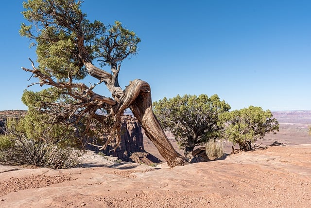信号与系统132分，双非逆袭985。-梦马考研