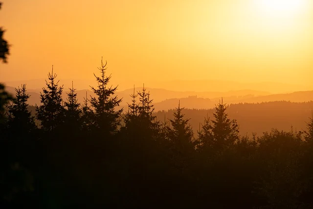 【25真题】卷！魔都超卷高校！-梦马考研