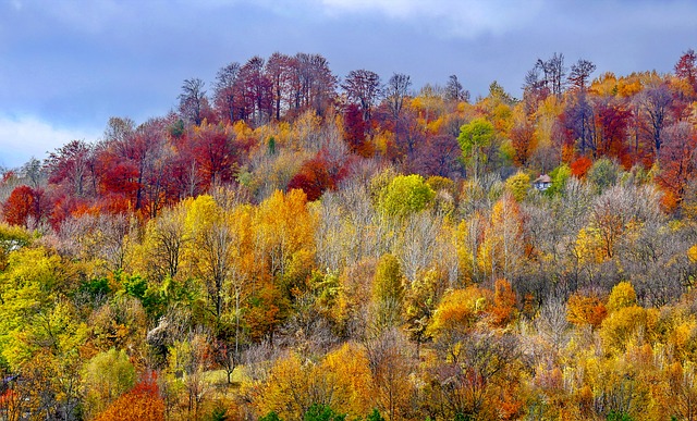 冲刺了，开启一天两套25真题！-梦马考研