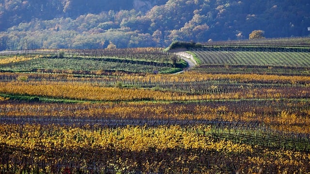 【第54套】好题， 必做。-梦马考研