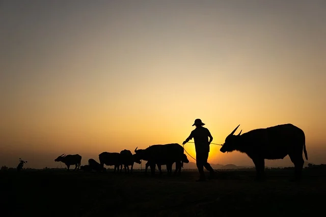 【第63套】离谱！考论述题！-梦马考研