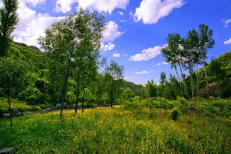 成都最热211，398被刷！-梦马考研