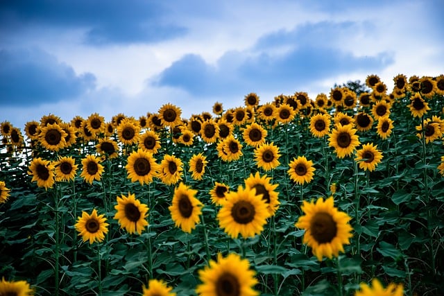 奔现啦！-梦马考研