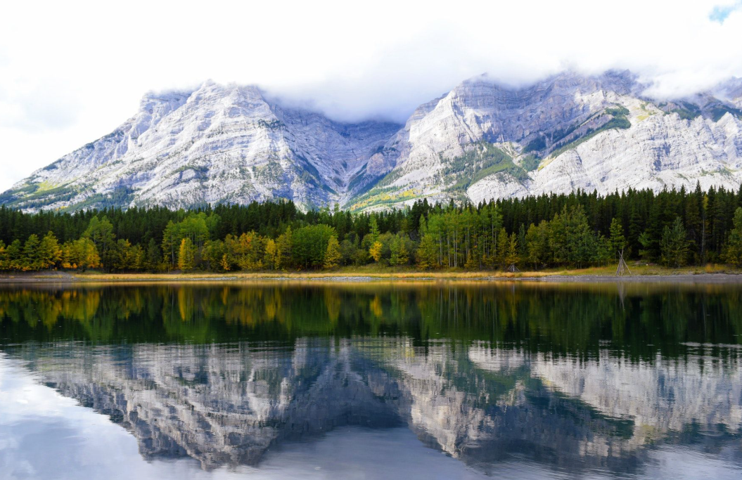 【调剂更新】两个研究所！速看。-梦马考研