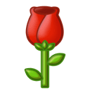 图片[8]-奔现啦！-梦马考研