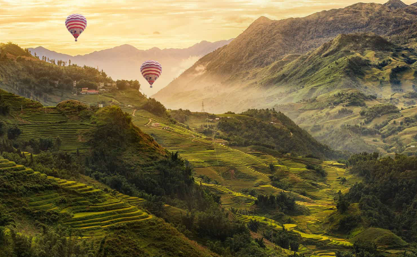 【调剂】5所更新！-梦马考研