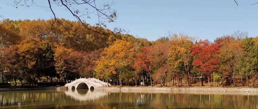 【公开课】南京理工大学上岸经验分享!-梦马考研